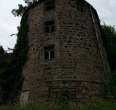 Wehlen Castle Ruins