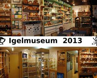 Hedgehog Museum