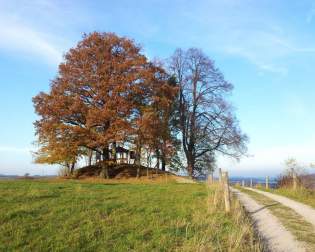 Thuringian climatic trail