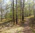 Nature Trail - Dammer mountain lake