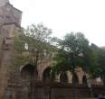 Ruine der Barfüßerkirche