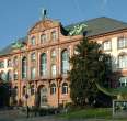 Senckenberg Naturmuseum