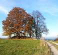 Thuringian climatic trail