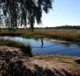 Swamp of Goldenstedt (NIZ)