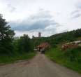 Ehrenstein Castle Ruins