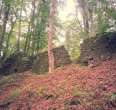 Ruins of New Castle Padberg