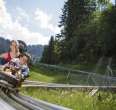 Alpine Coaster Kolbensattel