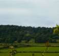 Muncaster Castle