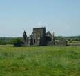 Dominic’s Abbey Cashel Ruins