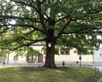 Arnstadt