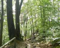 Bad Schandau