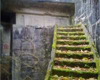Bassum
