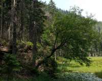 Bayerisch Eisenstein