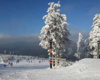 Braunlage