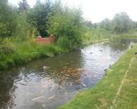 Erfurt