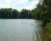 Eutin