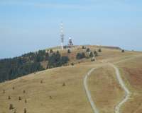 Feldberg