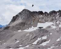 Garmisch-Partenkirchen