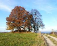 Geraberg