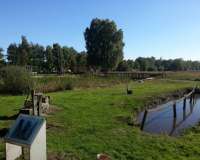 Goldenstedt