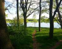 Goldenstedt