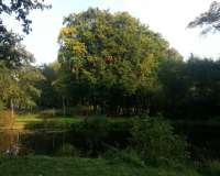 Harpstedt