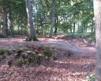 Harpstedt