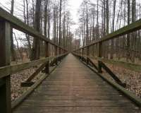 Harpstedt