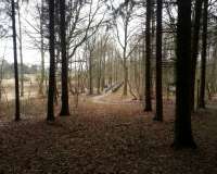 Harpstedt