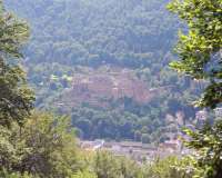 Heidelberg