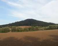 Ilmtal