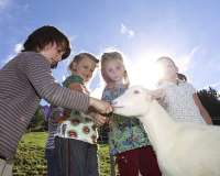 Immenstadt im Allgäu