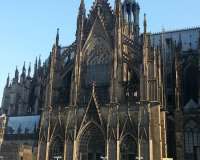 Cologne