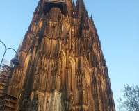 Cologne