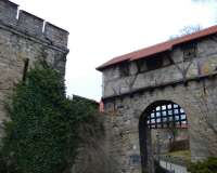 Kranichfeld