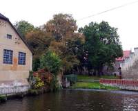 Naumburg (Saale)