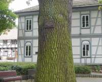Northeim
