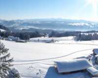 Scheidegg