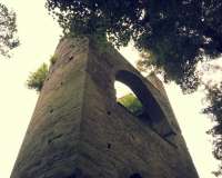 Soest