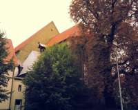 Soest