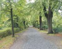 Soest
