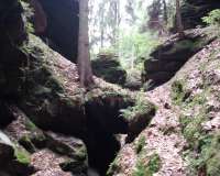 Stadt Wehlen