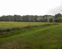 Verden