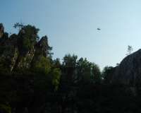 Viechtach