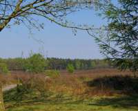 Wildeshausen