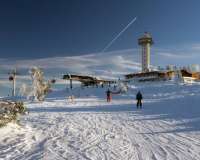 Willingen (Upland)
