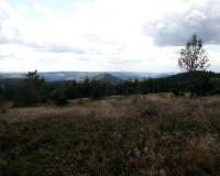 Winterberg