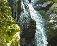Ambleside