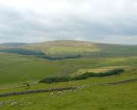 Buxton