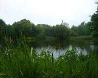Cranbrook